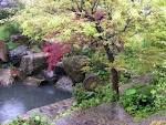 ＮＩＷＡ４