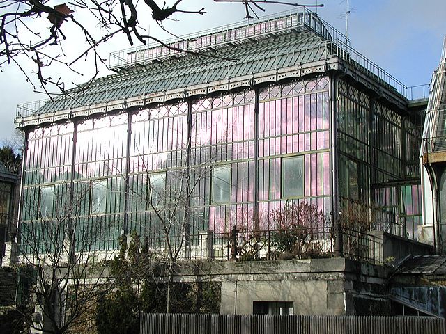 ガラスの家
