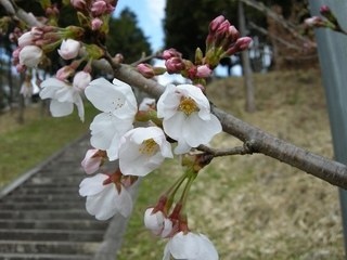 20140323084555a5d.jpg