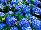 image_20130622165623.jpg