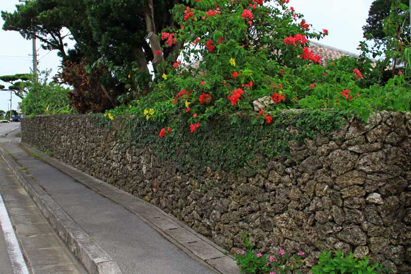 okinawa7.jpg